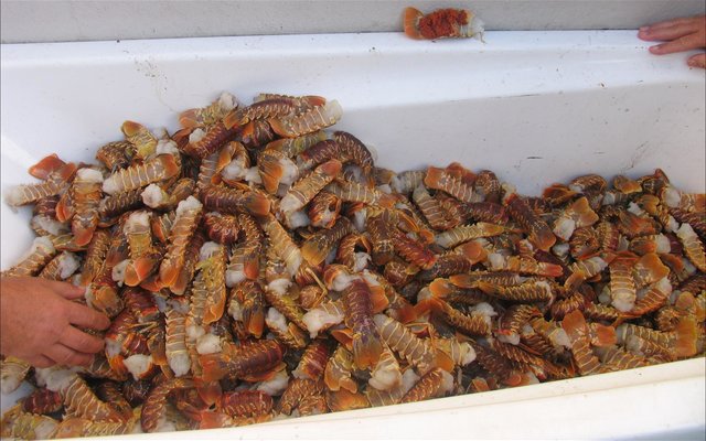 Photo supplied by Lt. Fadila September 