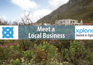 Meet a Local Business: Betty's Bay