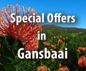 Special Offers in Gansbaai