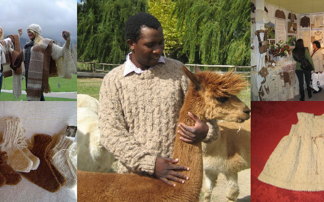 Helderstroom Alpacas