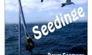 SeevoÃ«ls, robbe en hengelaars