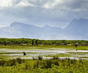 10 Colourful Facts about Kleinmond