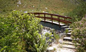 10 Facts We Bet You Didnâ€™t Know about Bettyâ€™s Bay