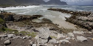 Penguin Colony at Stony Point