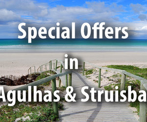 Special Offers in L'Agulhas & Struisbaai