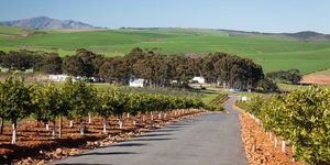 Botrivier Wine Route