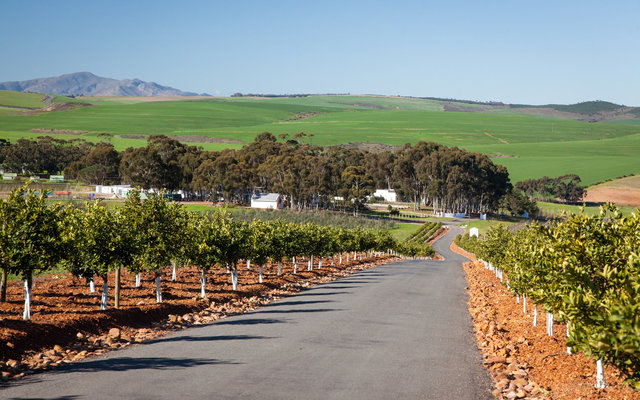 Botrivier Wine Route