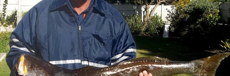 Johan Lubbe het verlede Woensdag hierdie mooi geelbek van 10,4 kg vanaf die boot Releks 11,  sommer so tussen die oulywe, opgetel  --  en dit met â€˜n 4-0 hoekie!.