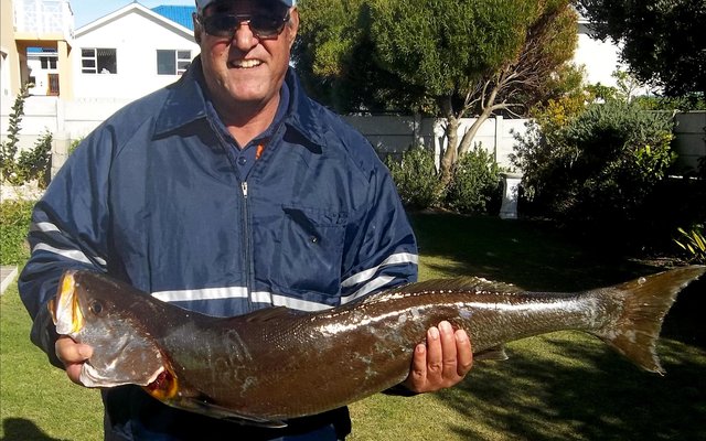 Johan Lubbe het verlede Woensdag hierdie mooi geelbek van 10,4 kg vanaf die boot Releks 11,  sommer so tussen die oulywe, opgetel  --  en dit met â€˜n 4-0 hoekie!.