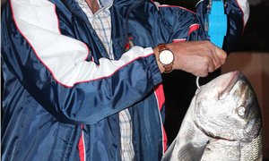 Eldo lag oor sy 7.42kg Mosselkraker