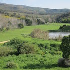 The little dam from Green Cottage