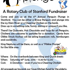 Penguin Plunge - 18 June 2016