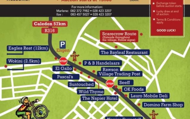 Napier Patat Festival Program 2016 - Page 3