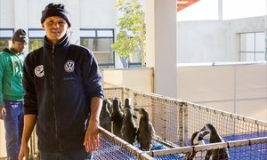 Marine trio strive for gold