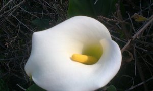 Ons kom dit nie eens altyd agter nie