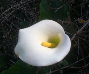 Ons kom dit nie eens altyd agter nie