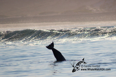 20160608_WW_Trip1_SHoerbst_IMG_048_580x388