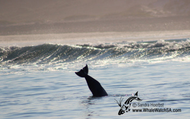 20160608_WW_Trip1_SHoerbst_IMG_048_580x388 20160608_WW_Trip1_SHoerbst_IMG_048_580x388