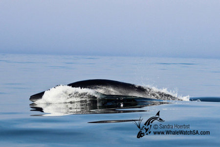 20160608_WW_Trip1_SHoerbst_IMG_191_580x388