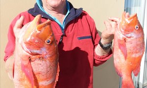 Rooi Romans vir die Wenners