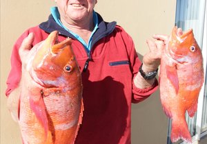 Rooi Romans vir die Wenners