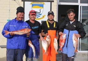 Lyne sing by Wes-liga