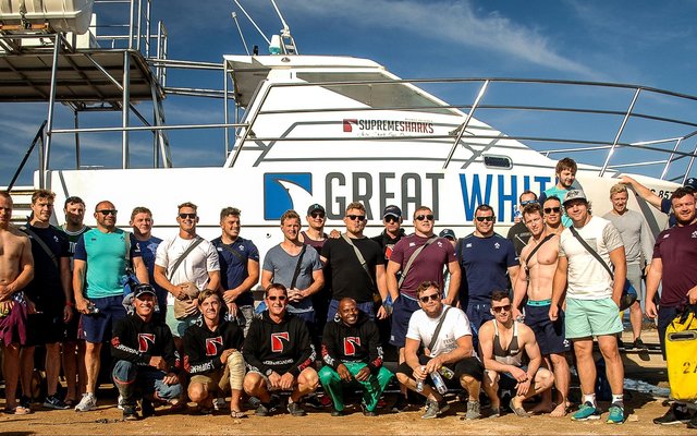 Die Ierse rugbyspan se haaikykery verlede week in Gansbaai moes hulle die regte woema vir die toets teen die Bokke gegee het....miskien moet onse Bokke  dit  ook  op die proef stel. Vele onnodige foute en â€˜n eindtelling van 20-26 in die Iere se guns het sekerlik sprake van seesiek onder die Iere gesnoer. â€™n Kleiner groep van die Iere het verkies om gholf op Tafelberg te gaan speel.    