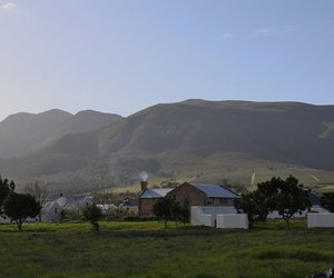 Green season in the Overberg