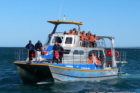 20150919_SF_Trip1_ATowner_IMG_00037