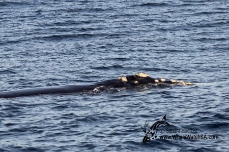 20160623_DC_Trip1_SHoerbst_IMG_014_580x388
