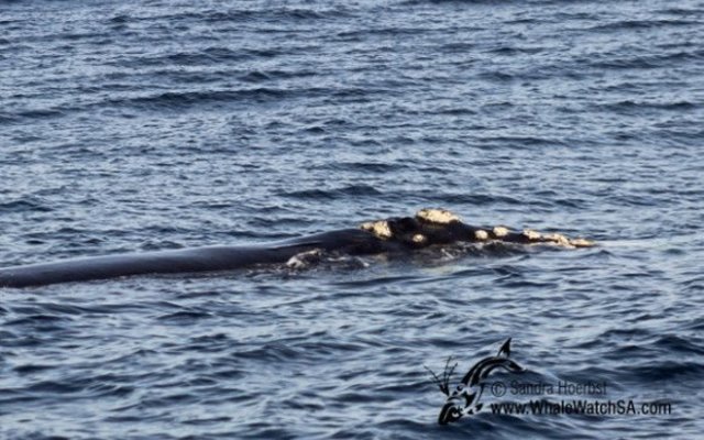 20160623_DC_Trip1_SHoerbst_IMG_014_580x388