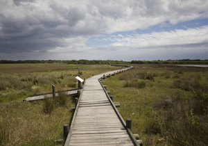 Keeping Busy in Kleinmond