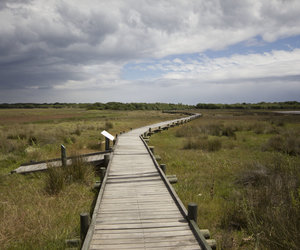 Keeping Busy in Kleinmond