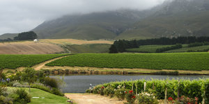 Hemel-en-Aarde Valley just outside of Hermanus
