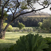 View at Wildekrans Country House