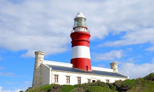 Upcoming Events in L'Agulhas & Struisbaai