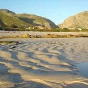 Betty's bay Main Beach