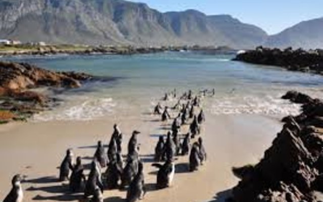 On our way for a swim On our way for a swim