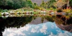 Harold Porter Botanical Gardens