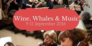 Wine, Whales & Music @ De Hoop