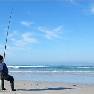 Geduld is die leuse vir die perfekte foto