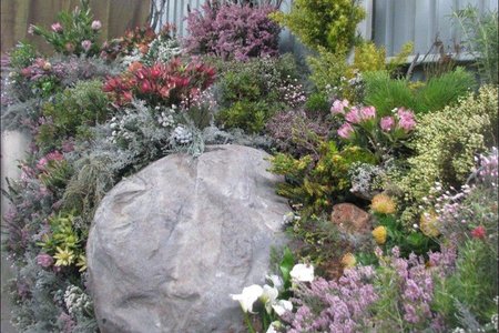 Gansbaai_20_jaar_se_Fynbos_erfenis