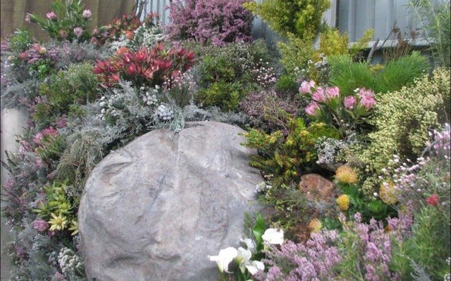 Gansbaai_20_jaar_se_Fynbos_erfenis