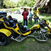 Your ride for the entire day.