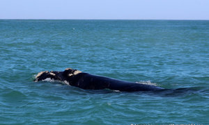 Daily Blog 9 July 2016