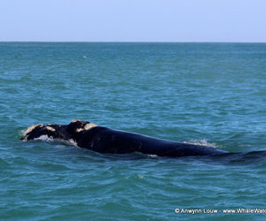 Daily Blog 9 July 2016