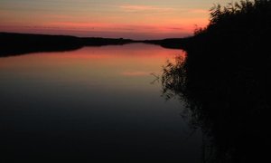 A Walk by the Klein River