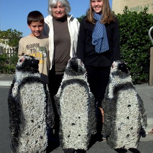Christopher Nimb (8), Sylvie Agenbach and Tahlia Nimb (12) after re-painted the previous â€œFees van die Ganseâ€ African Penguins for the festival.