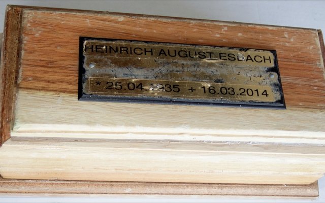 Hierdie askissie het by Blousloep uitgespoel.