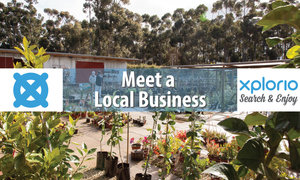 Meet a Local Business: Grabouw / Elgin